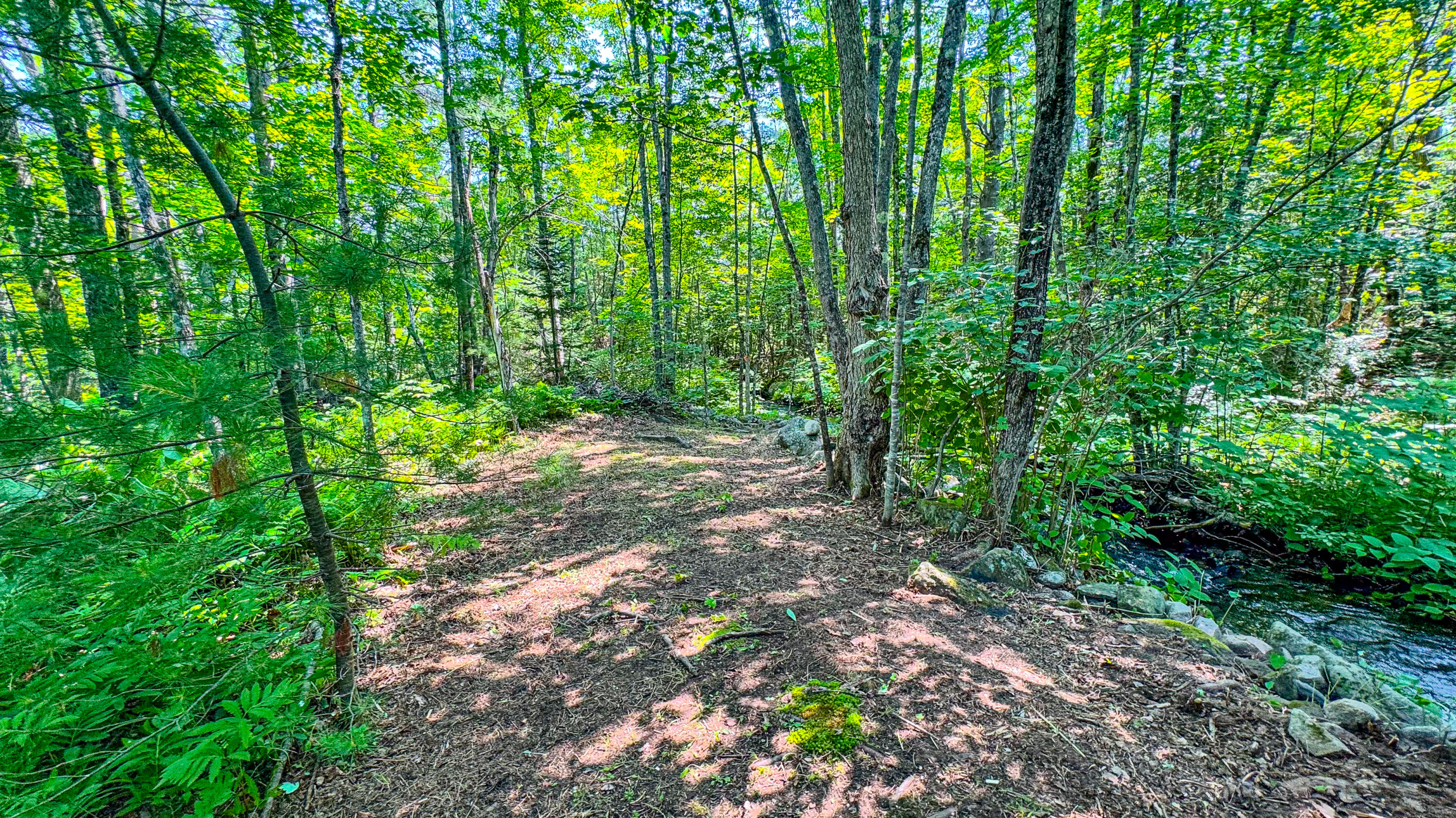 179 South Effingham Road Newfield, ME 04095 - Photo 18 of 37 179 south effingham road-58
