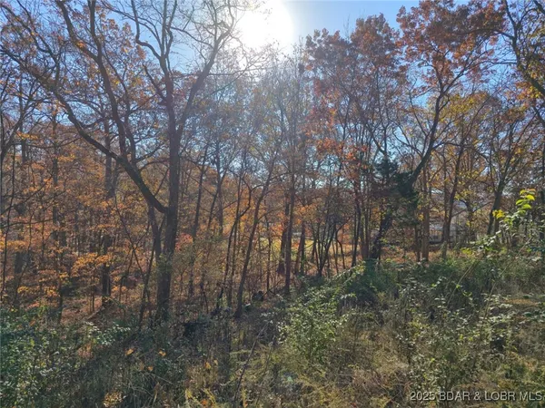 $7,000 | 62-64 Wildwood Road, Stover, MO 65078