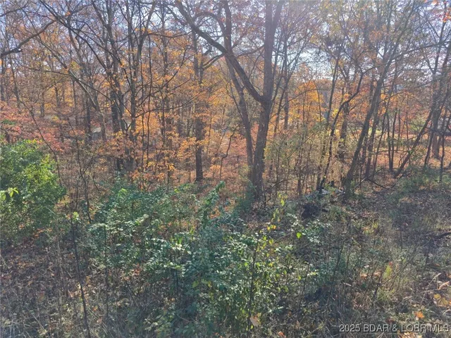 $10,000 | 62-64 Wildwood Road, Stover, MO 65078