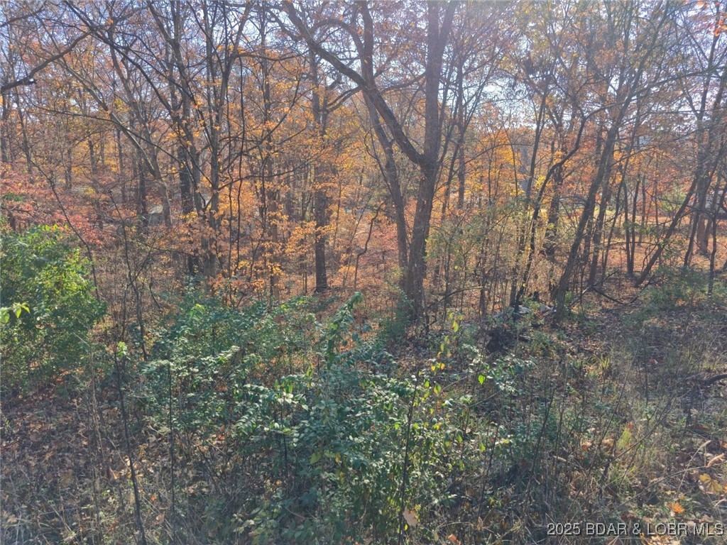 62-64 Wildwood Road Stover, MO 65078 - Photo 2 of 4