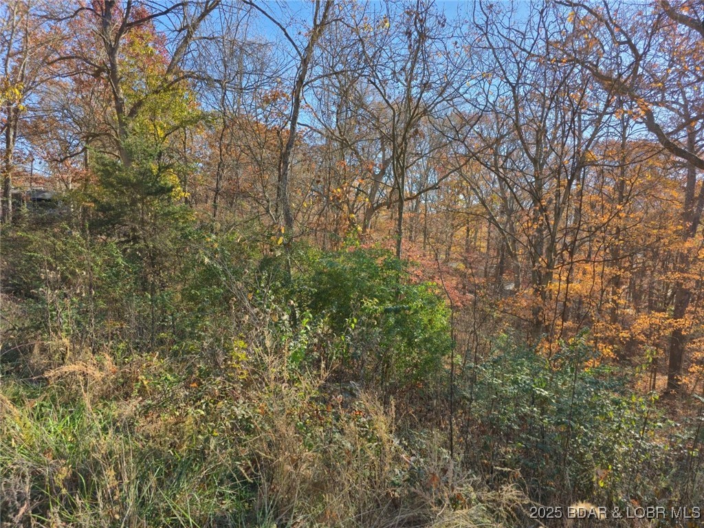 62-64 Wildwood Road Stover, MO 65078 - Photo 3 of 4