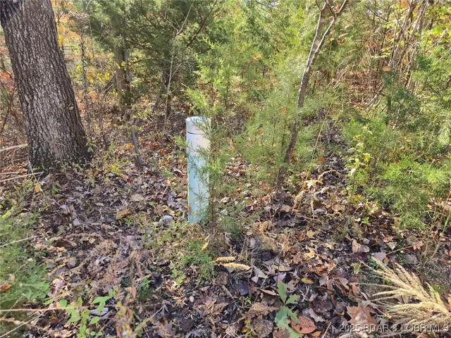 $10,000 | 62-64 Wildwood Road, Stover, MO 65078