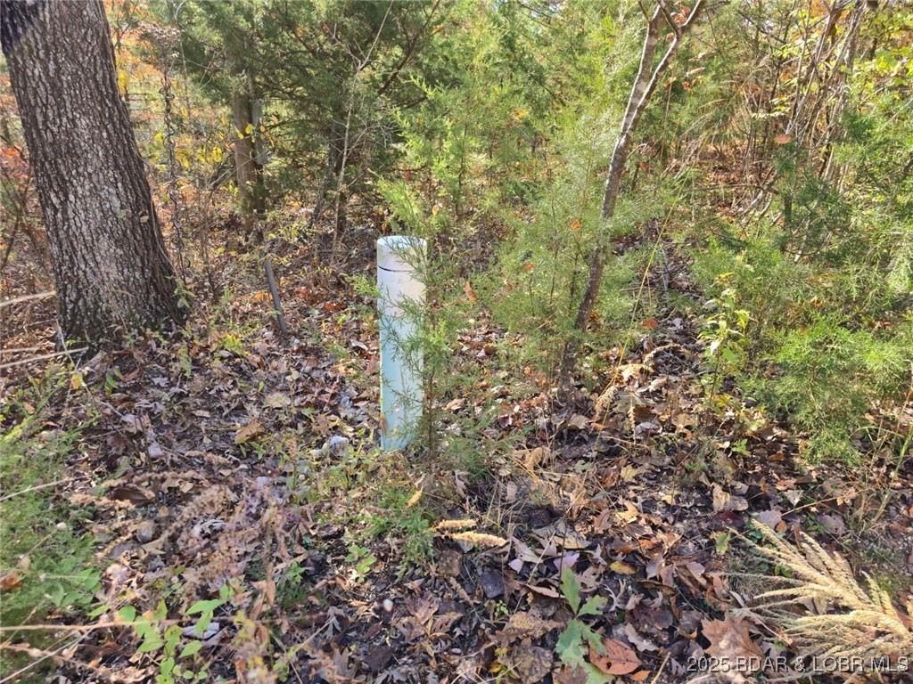 62-64 Wildwood Road Stover, MO 65078 - Photo 4 of 4