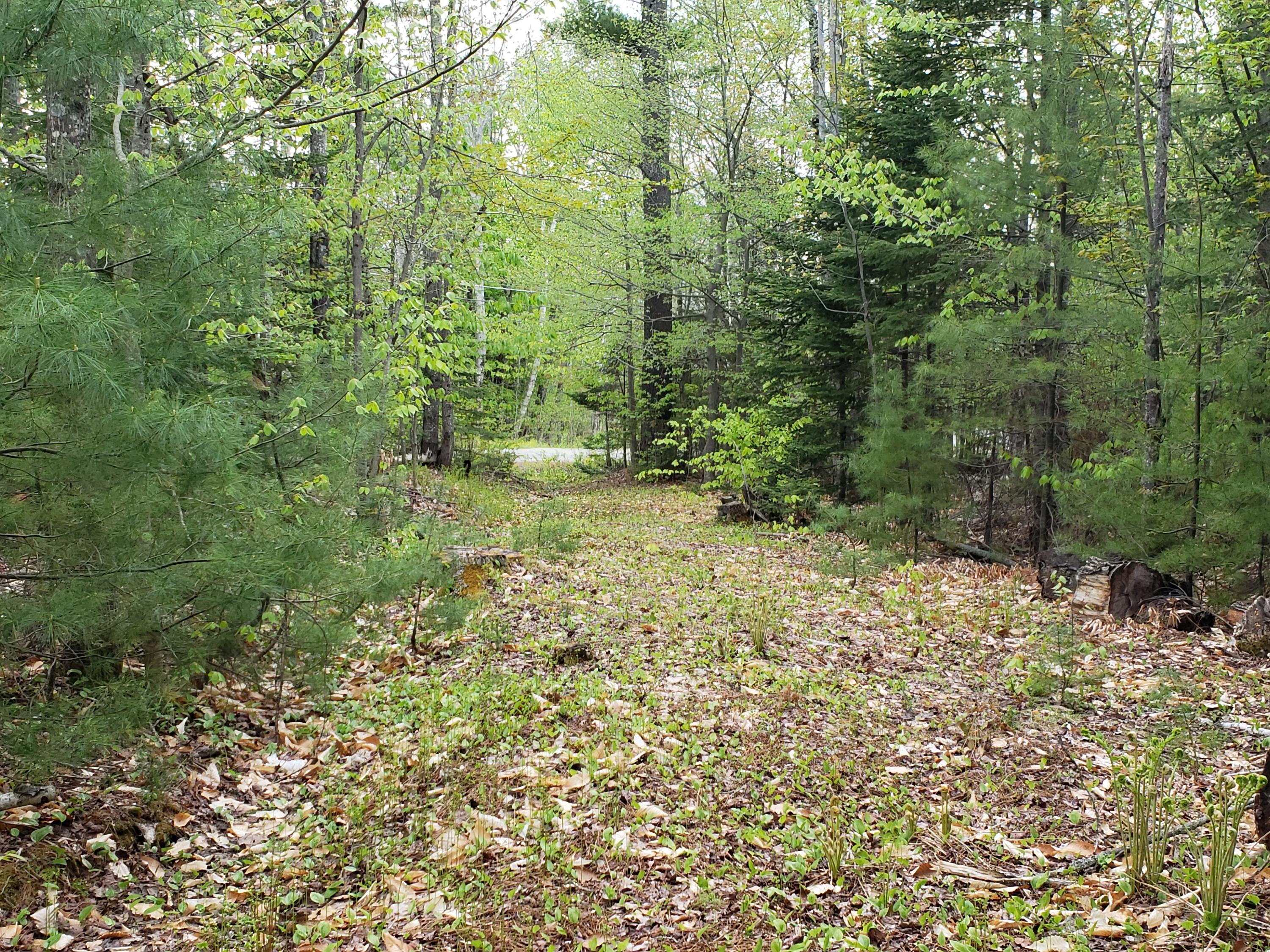 Tbd Norton Hill Road Strong, ME 04983 - Photo 9 of 17 20210515_161624