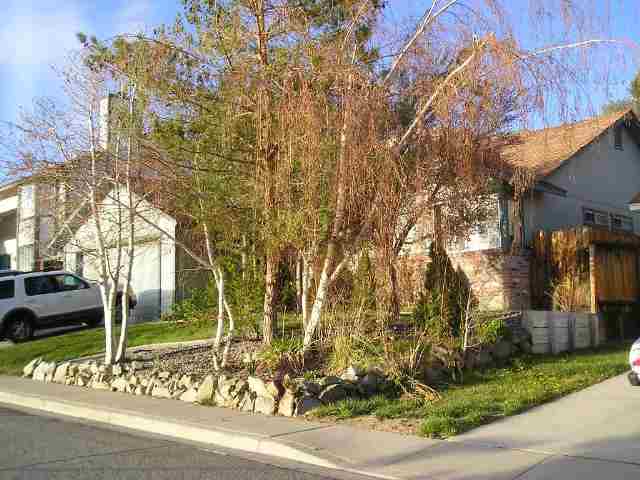 1790 Peavine Road Reno, NV 89503 - Photo 5 of 7 Photo 5