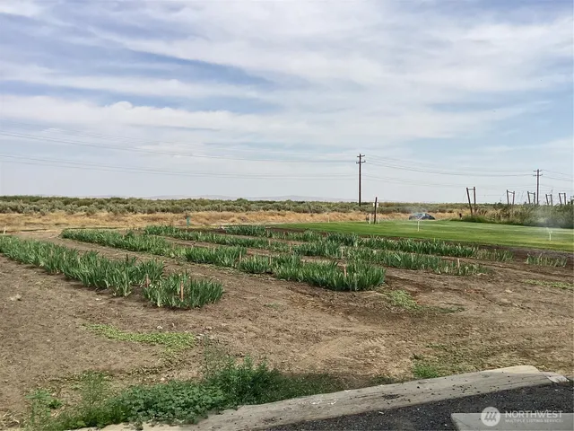 a view of a lake with a big yard
