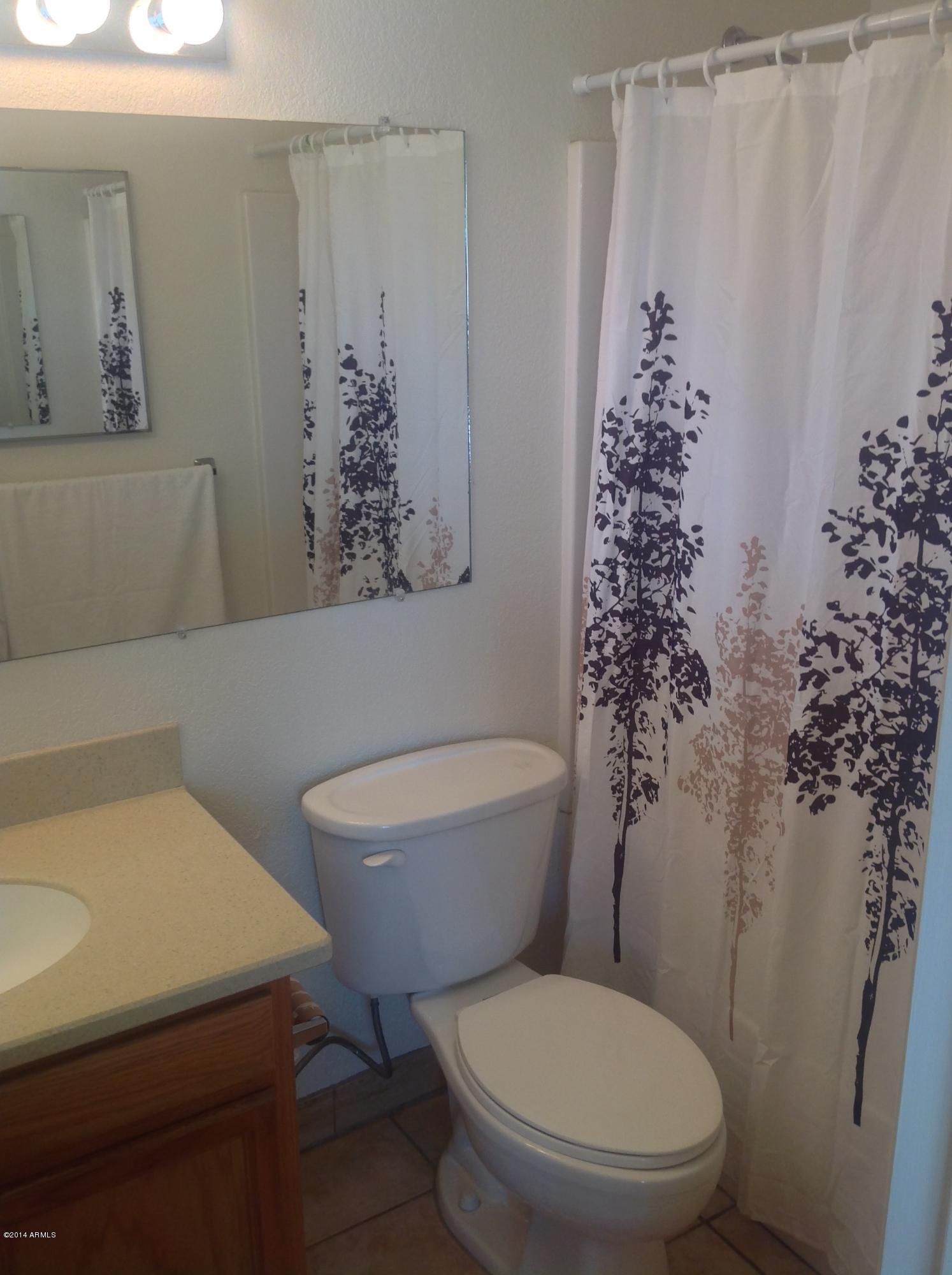 3819 West Calavar Road Phoenix, AZ 85053 - Photo 16 of 26 MASTER BATH - FULL