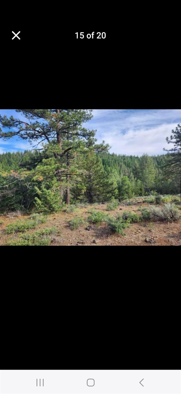 0 Cheney Creek Road Susanville, CA 96130 - Photo 4 of 18 a view of a floor to yard