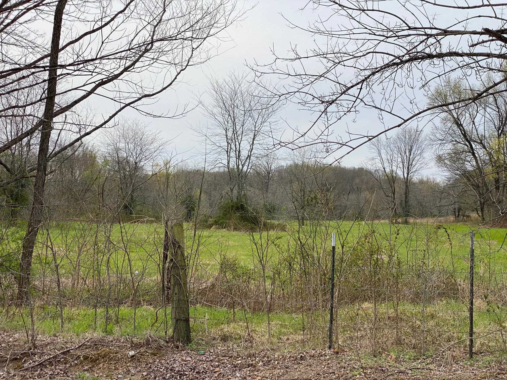 0 Bringle Road Covington, TN 38019 - Photo 6 of 6 Gallery Image 6