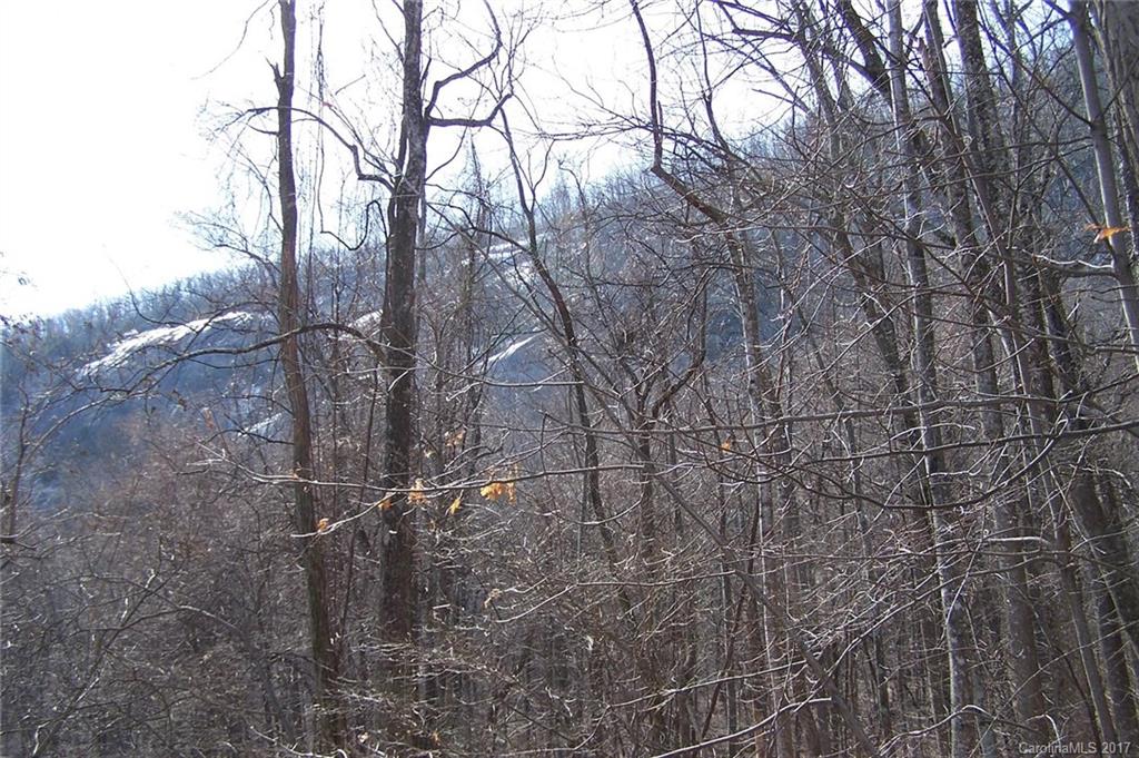 307 Cardinal Road, Unit 307 Lake Lure, NC 28746 - Photo 3 of 13 Gallery Image 3