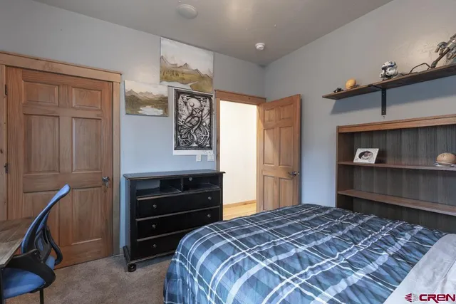 a bedroom with a bed and a closet