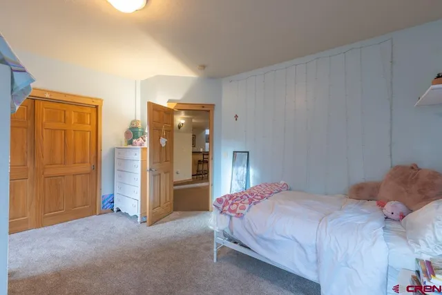 a bedroom with a bed dresser and a shower