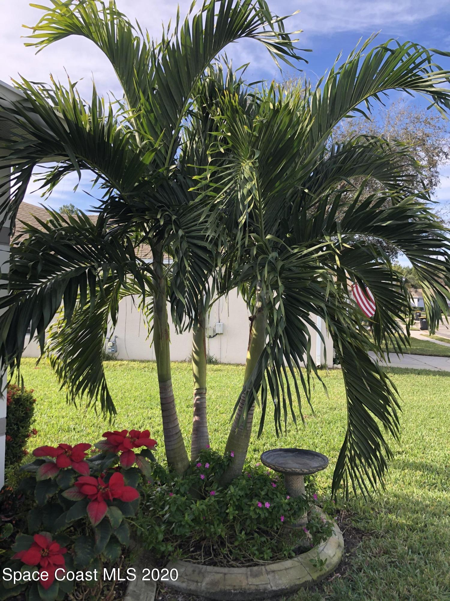 2227 Spring Creek Circle Palm Bay, FL 32905 - Photo 8 of 41 IMG_7629