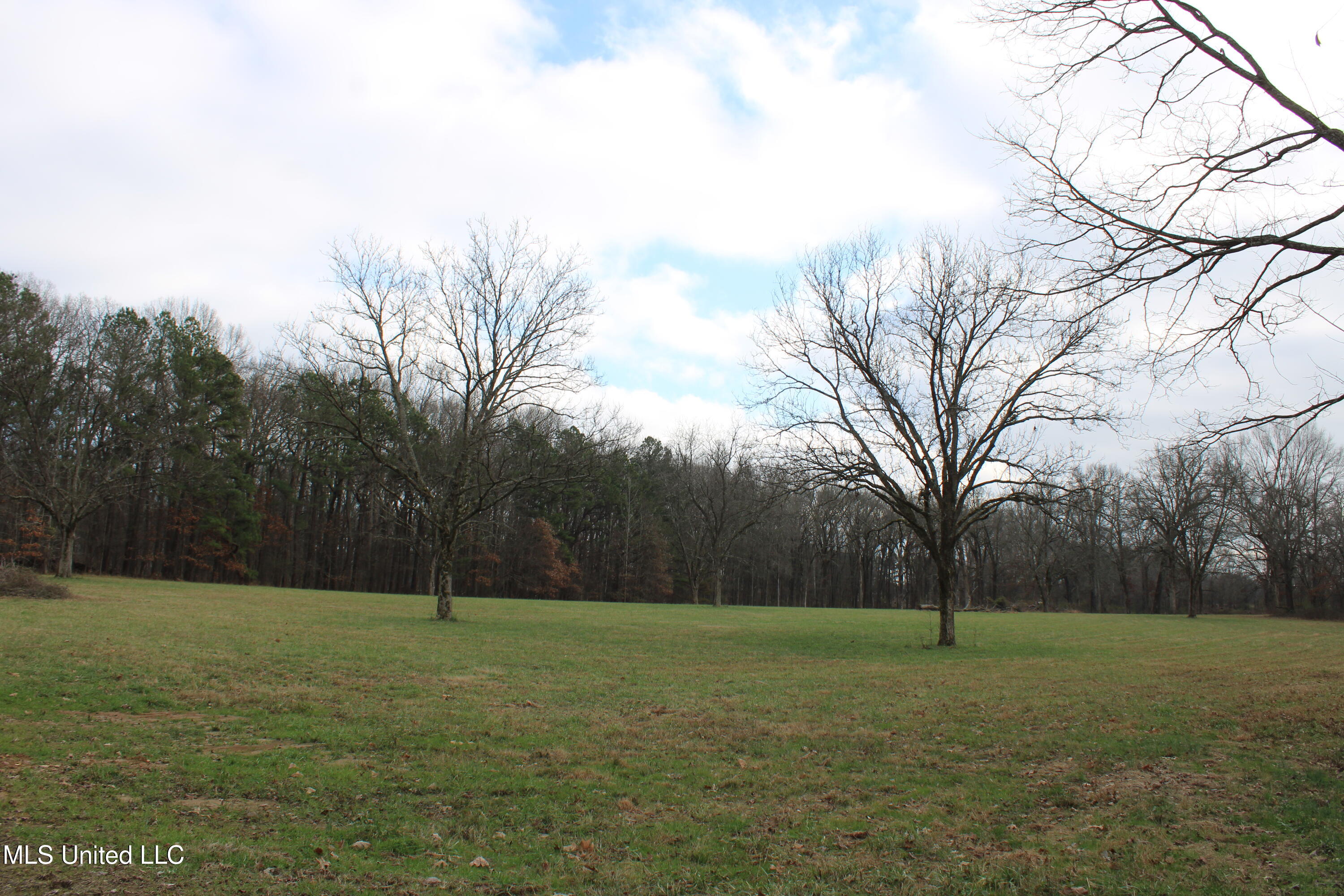 2001 West Oak Grove Road Hernando, MS 38632 - Photo 8 of 44 IMG_5397
