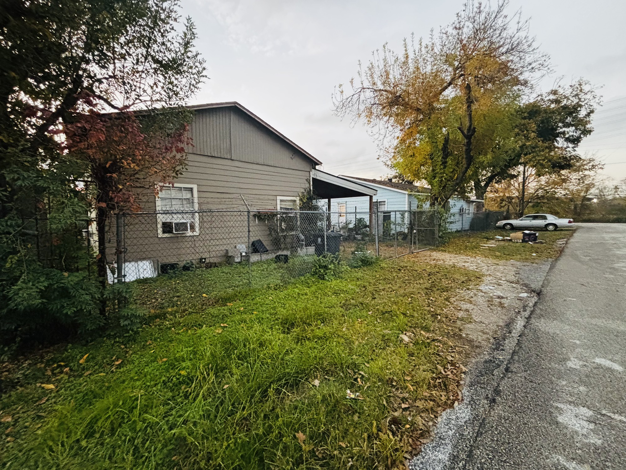 a backyard of a house with plants and tree