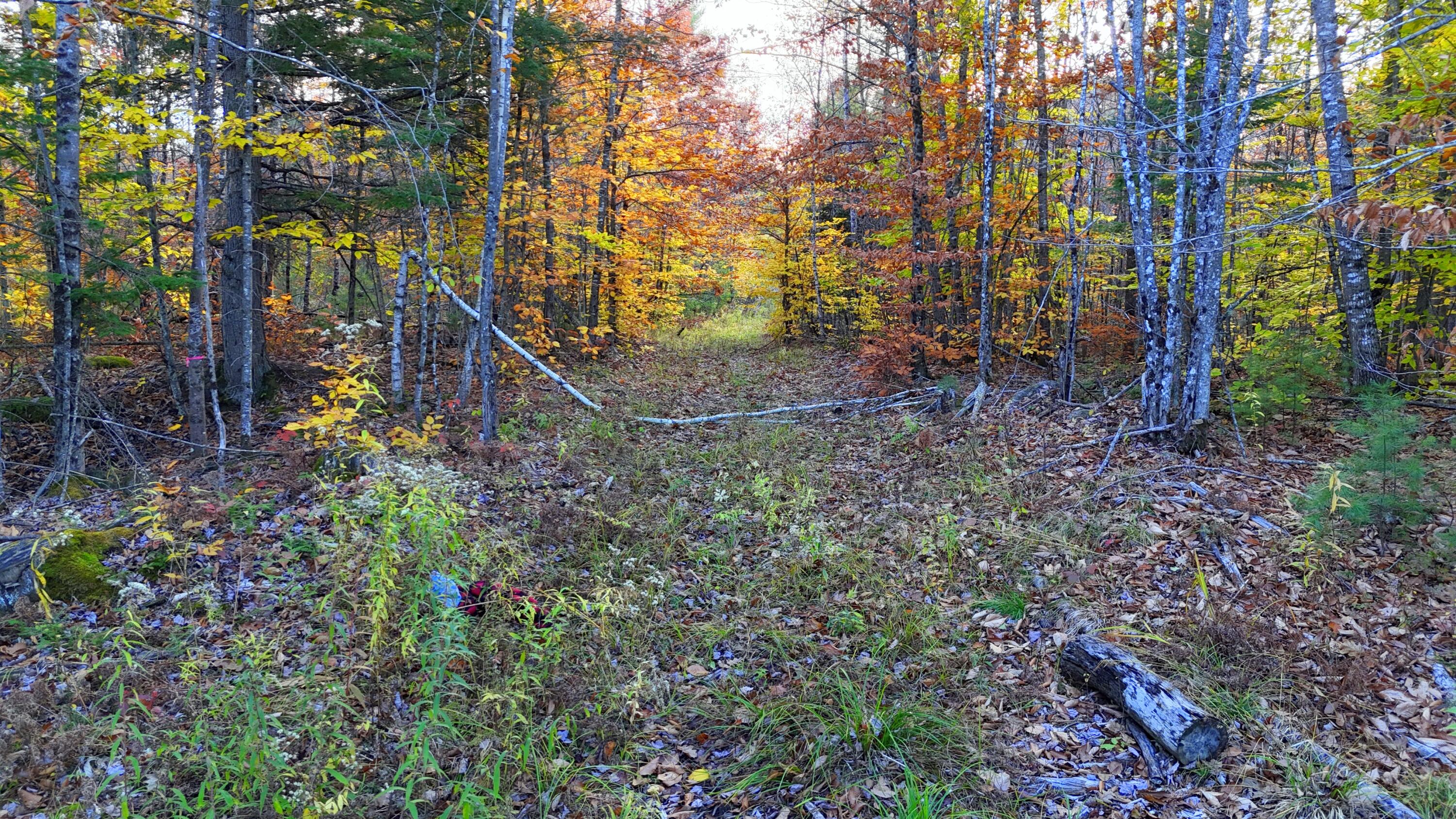 17 Treetop Lane Jay, ME 04239 - Photo 101 of 104 Trails