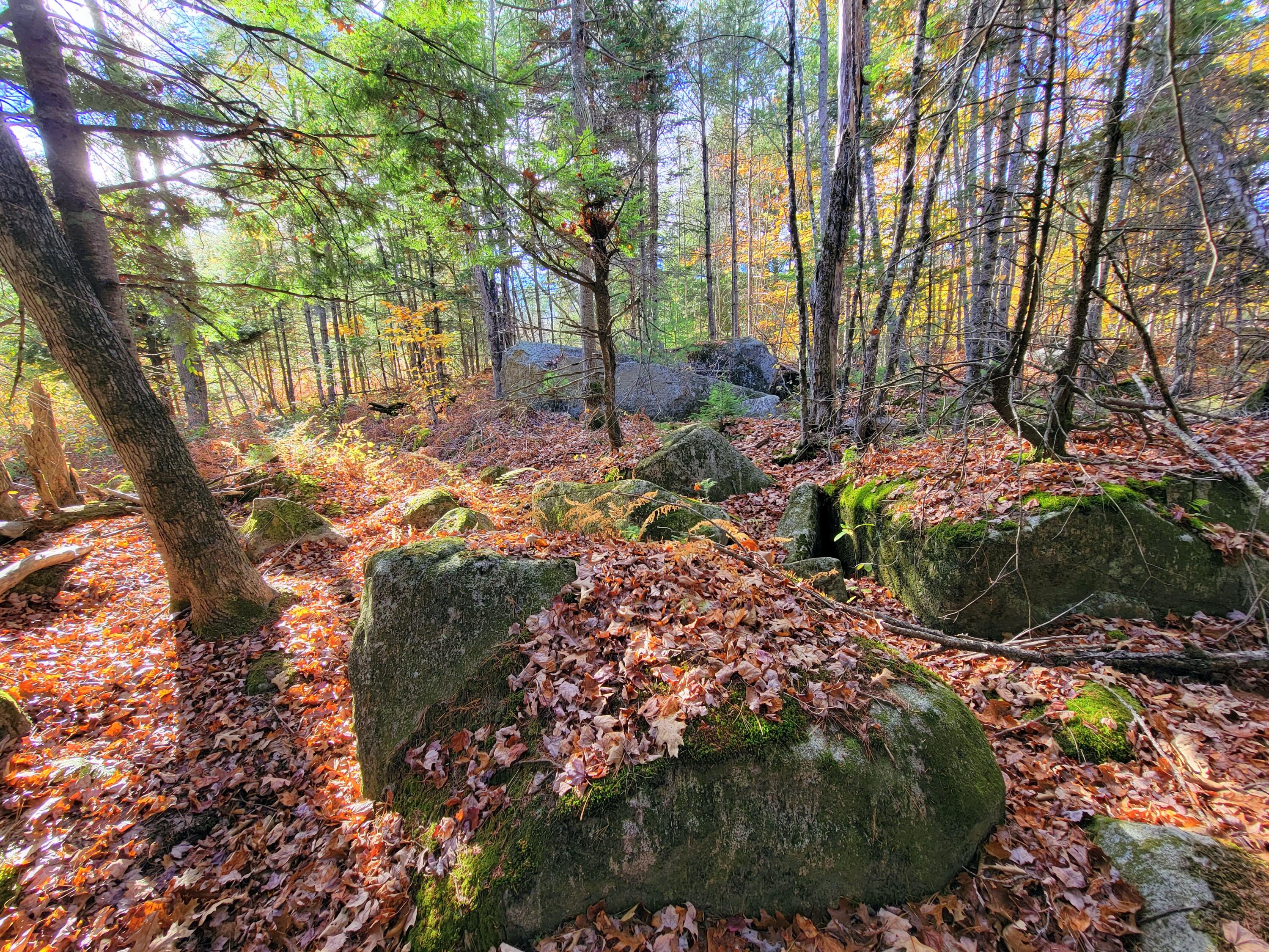 17 Treetop Lane Jay, ME 04239 - Photo 103 of 104 Rocks