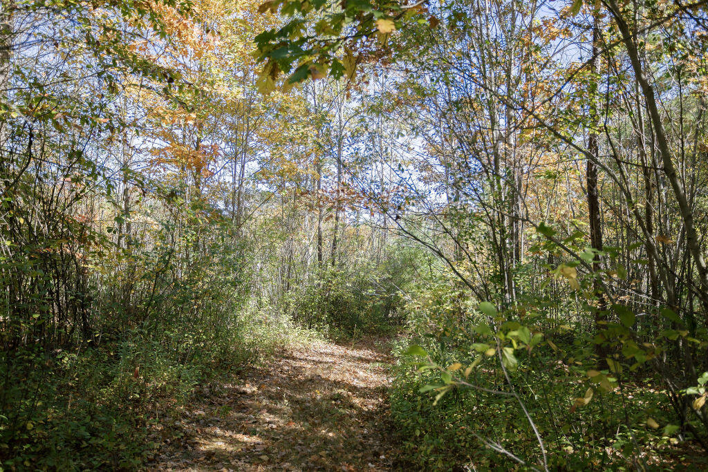 17 Treetop Lane Jay, ME 04239 - Photo 74 of 104 Trail to back field
