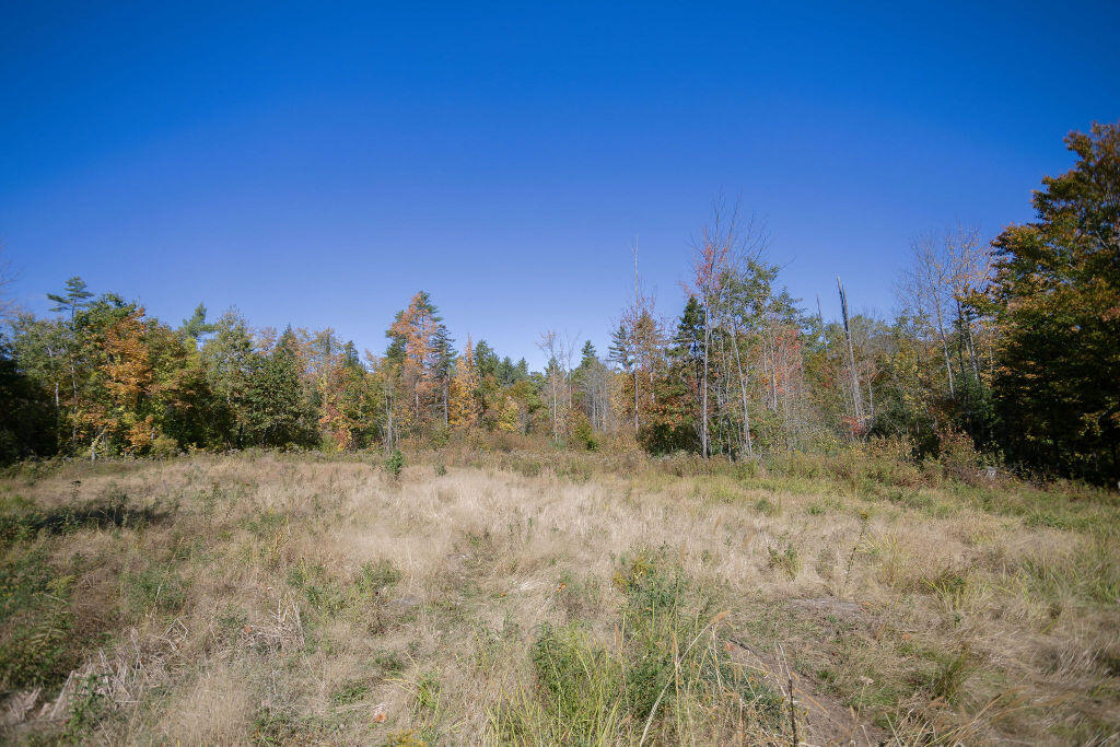17 Treetop Lane Jay, ME 04239 - Photo 79 of 104 Back Field with Irrigation