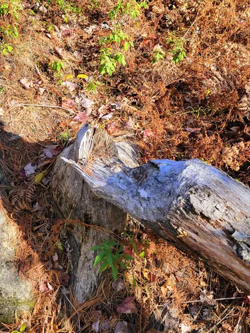 $498,000 | 17 Treetop Lane, Jay, ME 04239