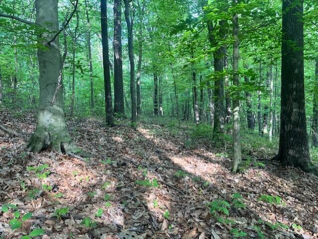 0 Gearing Ridge Road Londonderry, OH 45647 - Photo 13 of 29 thumbnail_IMG_7635