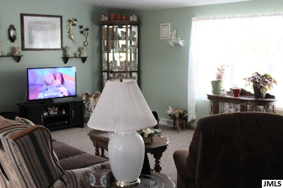 11770 Sharon Valley Road Brooklyn, MI 49230 - Photo 3 of 28 Photo 3