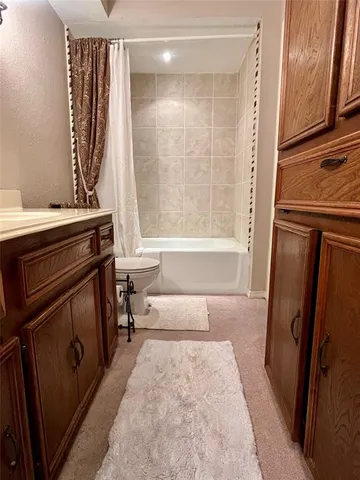a bathroom with a sink and a toilet