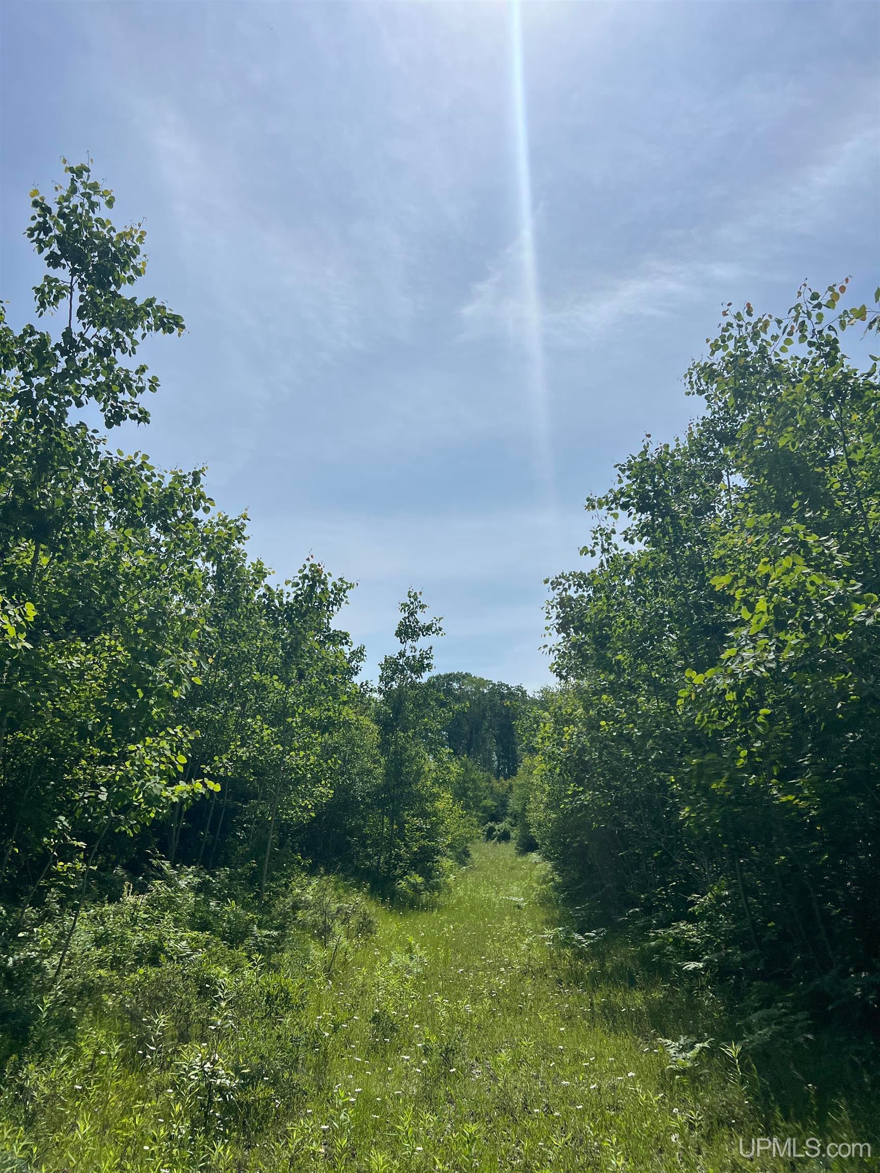 Tbd Chalk Hills Road Daggett, MI 49821 - Photo 13 of 59 Gallery Image 13