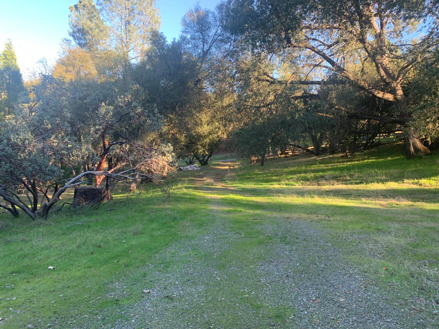 39516 John West Road Oakhurst, CA 93644 - Photo 5 of 8