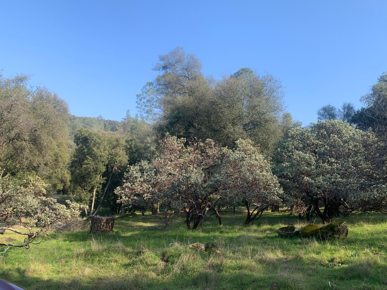39516 John West Road Oakhurst, CA 93644 - Photo 6 of 8