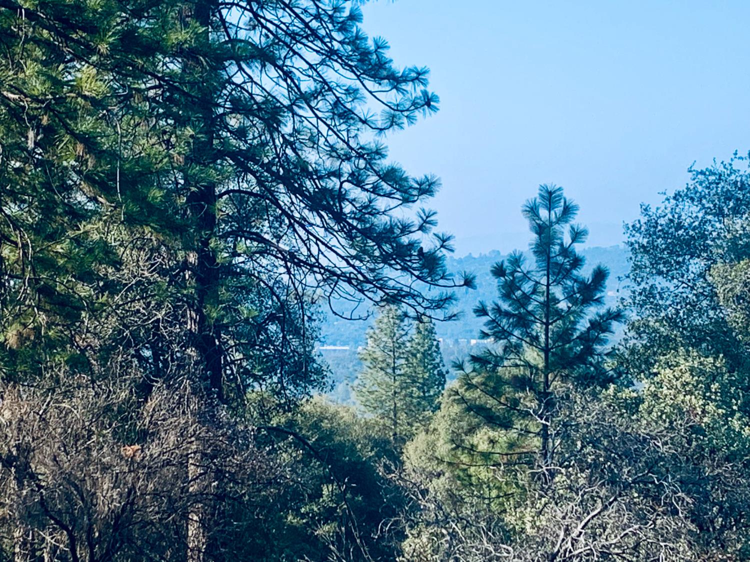 39516 John West Road Oakhurst, CA 93644 - Photo 7 of 8
