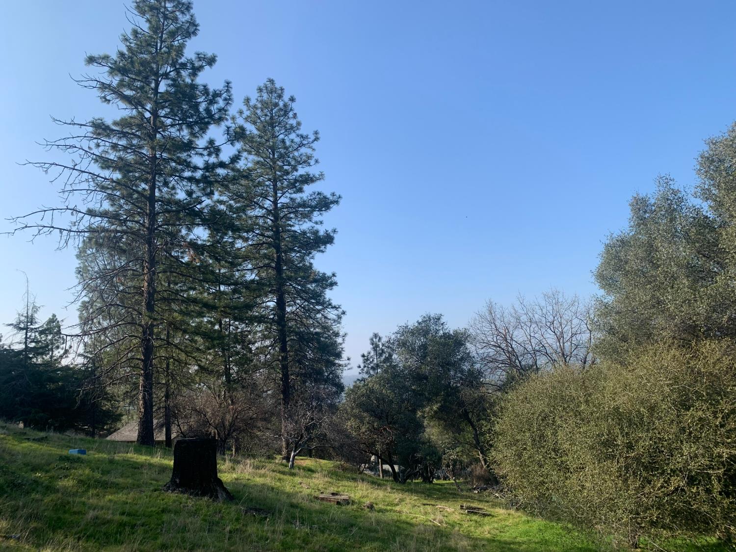 39516 John West Road Oakhurst, CA 93644 - Photo 8 of 8