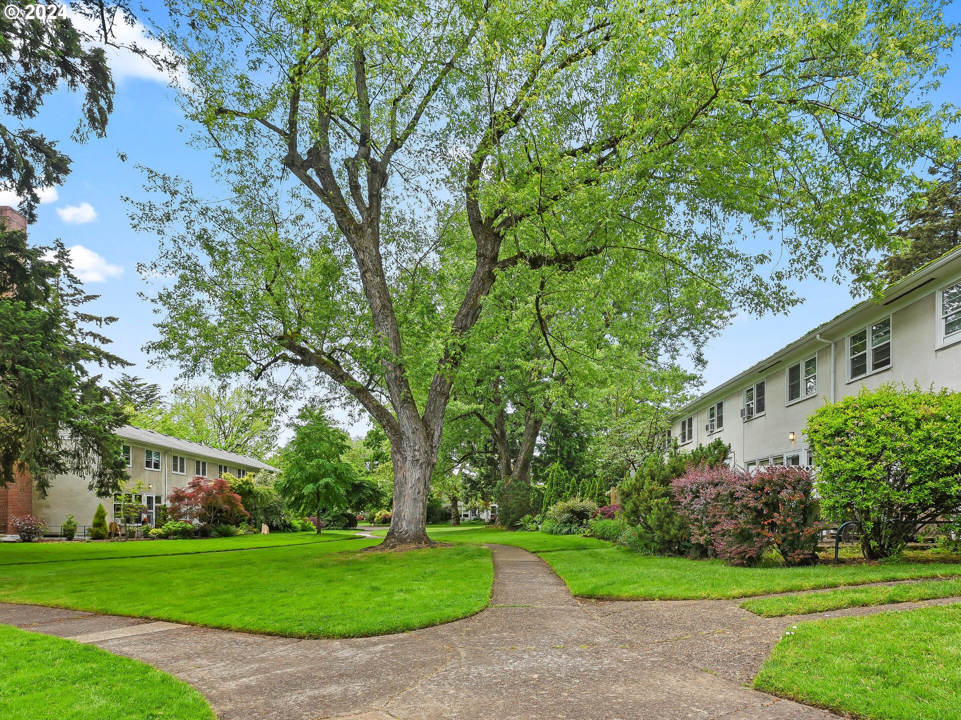 6937 Northeast Broadway Portland, OR 97213 - Photo 42 of 48 a view of a white house in a big yard with large trees