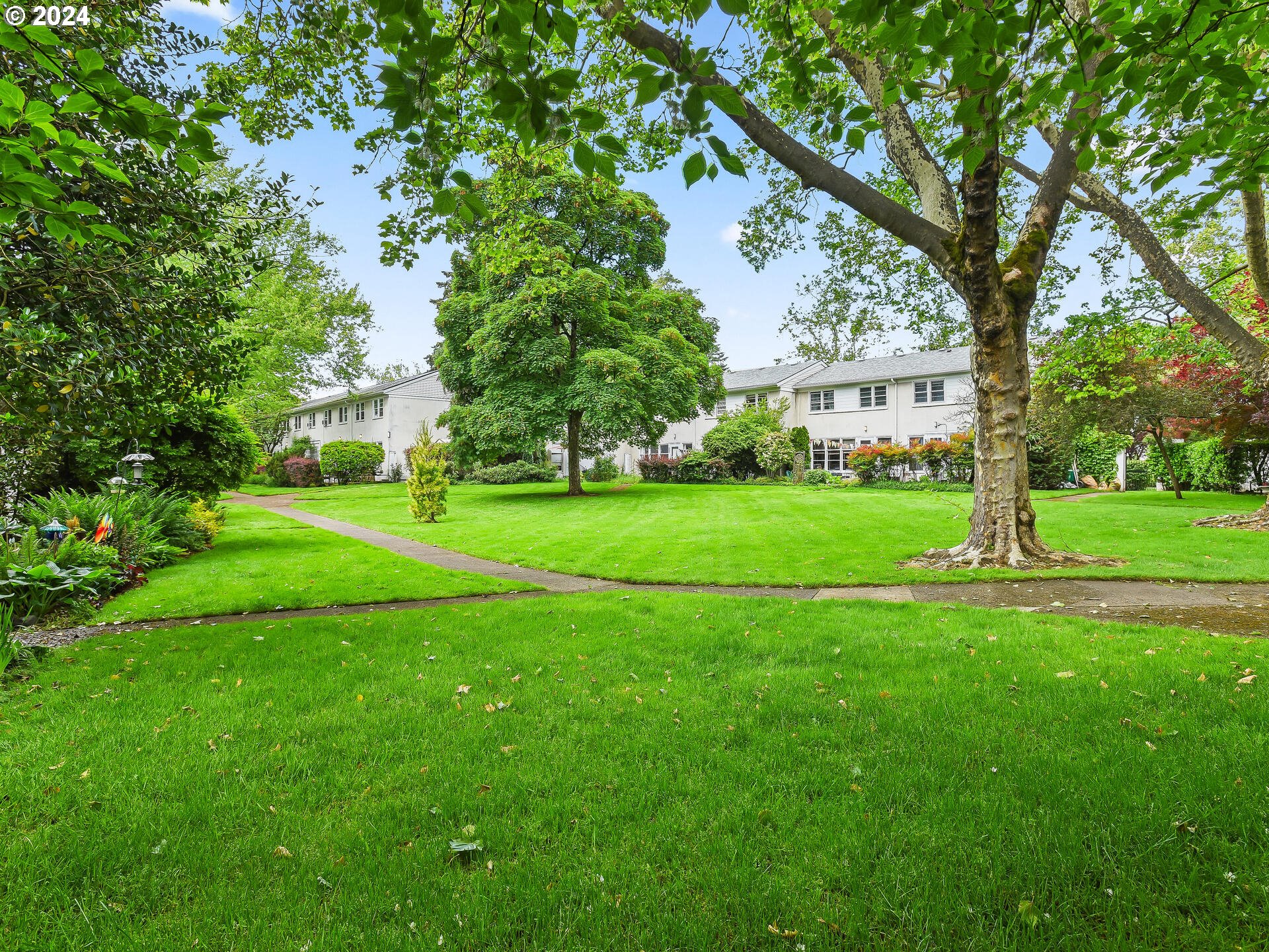 6937 Northeast Broadway Portland, OR 97213 - Photo 43 of 48 a view of a trees with a big yard