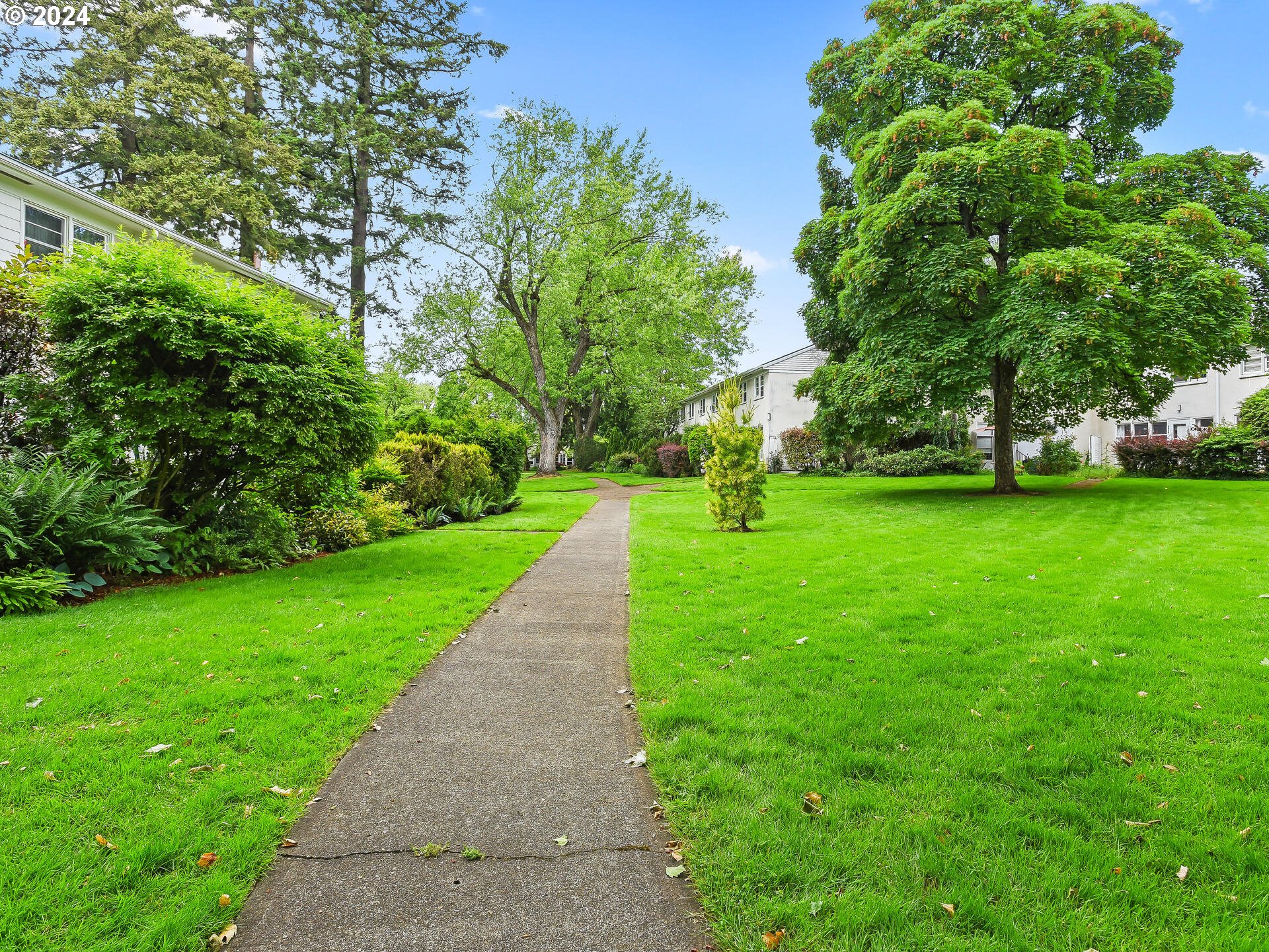 6937 Northeast Broadway Portland, OR 97213 - Photo 44 of 48 a view of a park with plants and trees