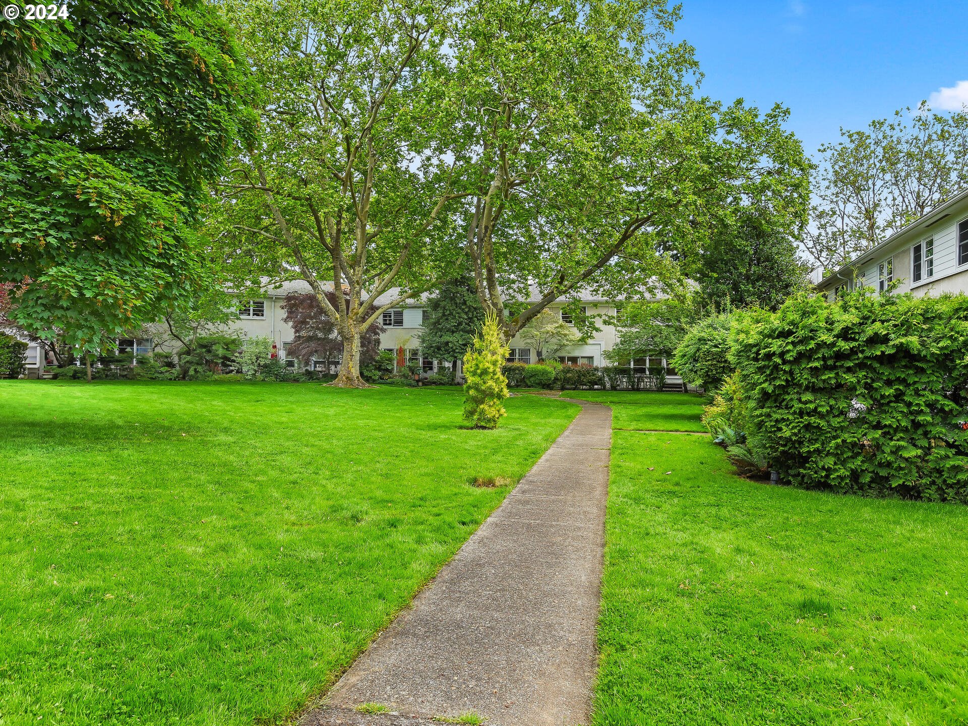 6937 Northeast Broadway Portland, OR 97213 - Photo 46 of 48 a view of a park with large trees
