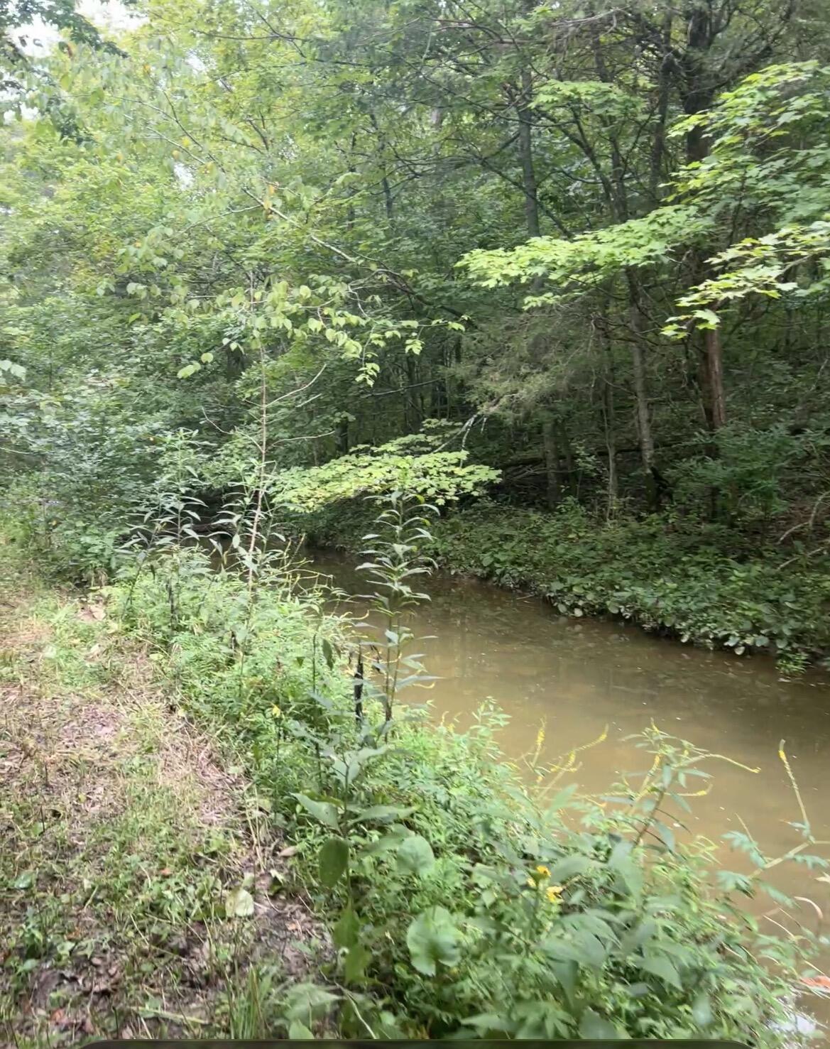 726 Old Brown Road Salvisa, KY 40372 - Photo 52 of 89 creek on property.