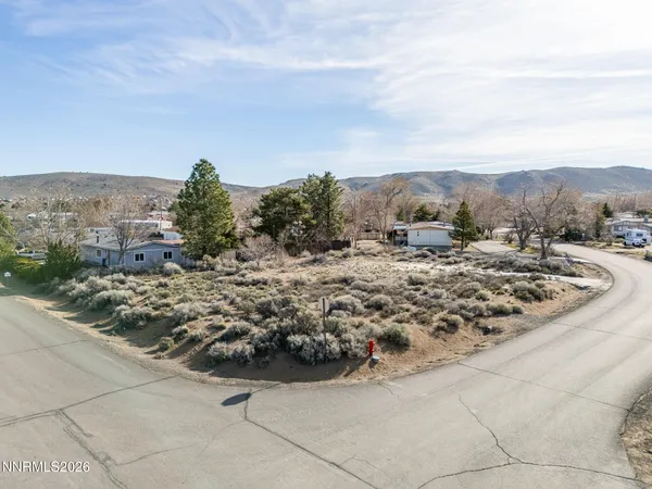 a view of a dry yard with trees