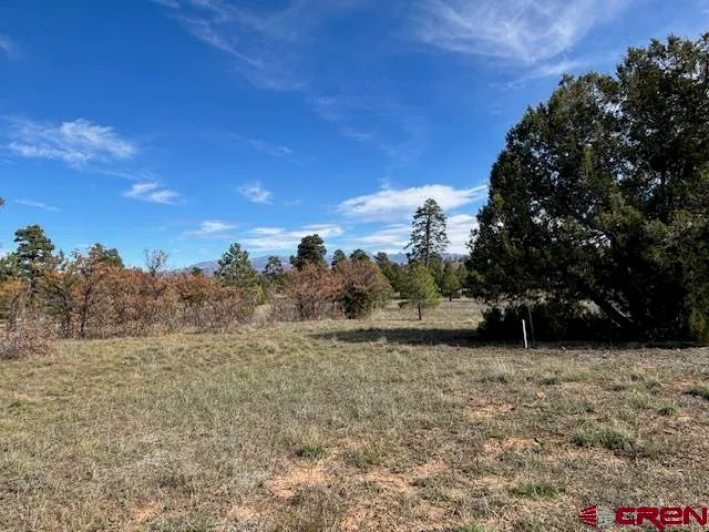 a view of an outdoor space and a yard