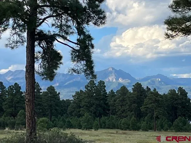 a view of a city with tree in the background