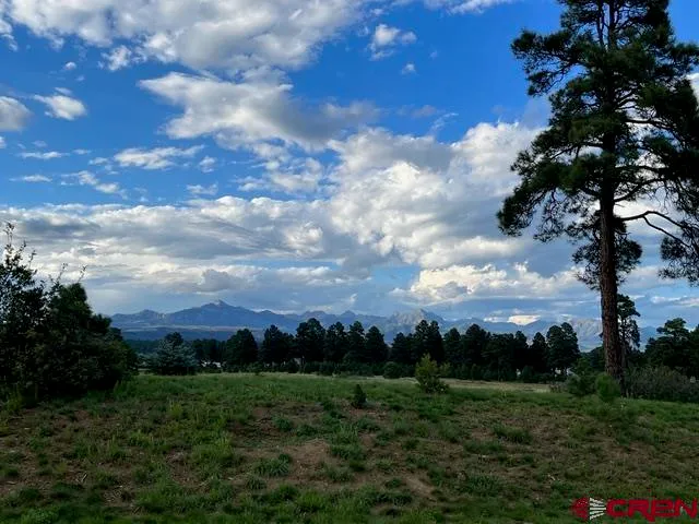 a view of a city with lush green forest