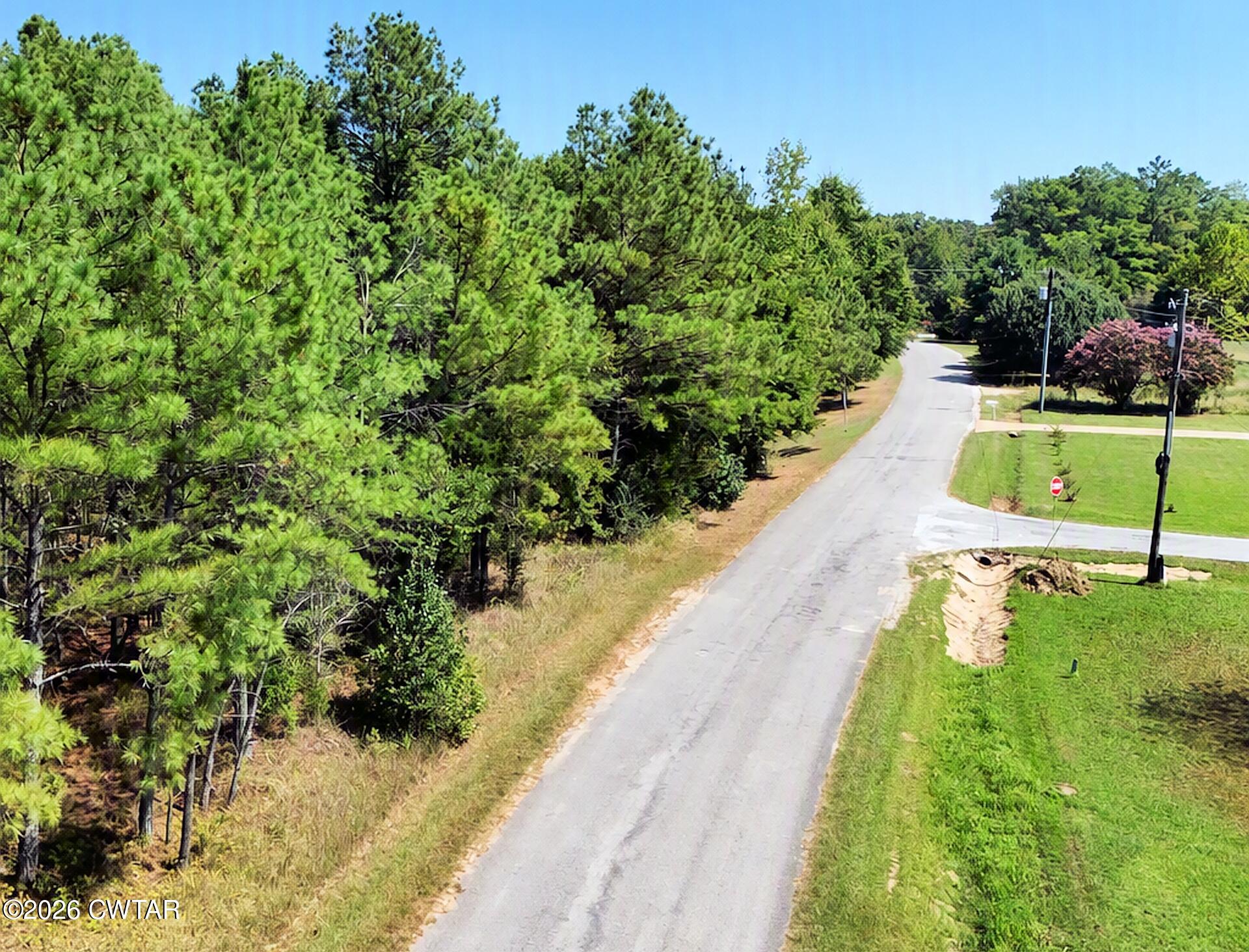 0 Mt Pleasant Road Beech Bluff, TN 38313 - Photo 2 of 34 A_Mount Pleasant (1)