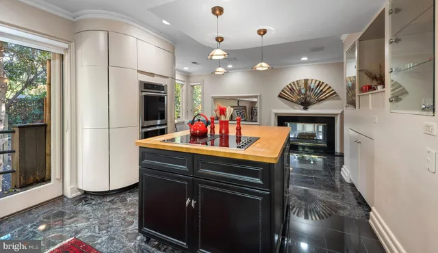 a view of a yard with plants and large trees