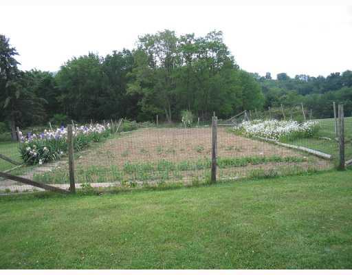 233 Vaneal Road Washington, PA 15301 - Photo 7 of 8 Land. Wonderful full garden with loads of veggies already planted for the season!