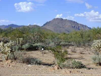 7267 West Citrus Ranch Place Tucson, AZ 85735 - Photo 2 of 2 Gallery Image 2