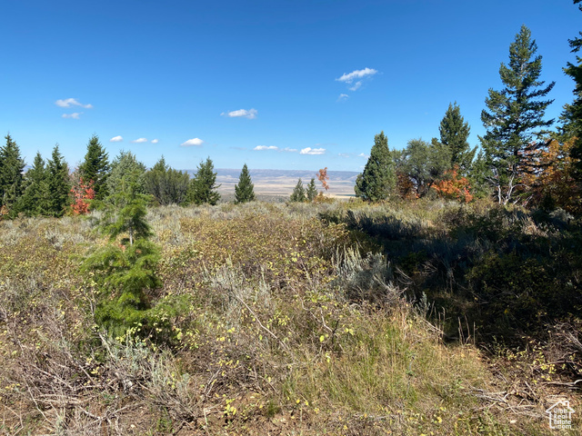 St, Unit 56 Bancroft, ID 83217 - Photo 2 of 17