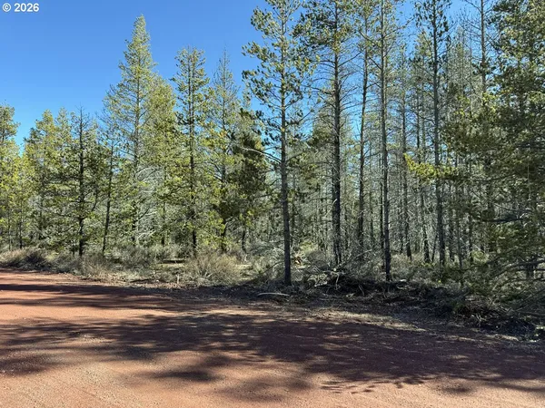 $18,000 | Scott View Drive, Unit 11, Chiloquin, OR 97624