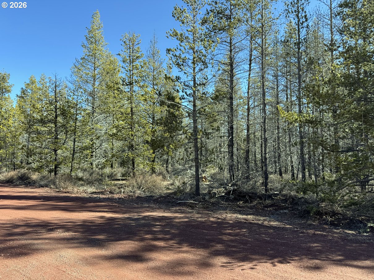 a view of a yard with a tree