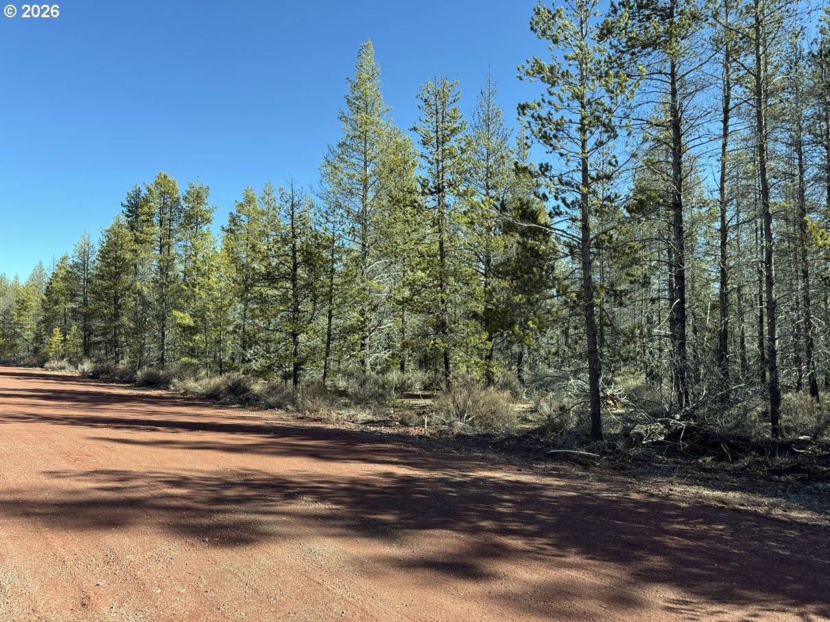 Scott View Drive, Unit 11 Chiloquin, OR 97624 - Photo 11 of 37