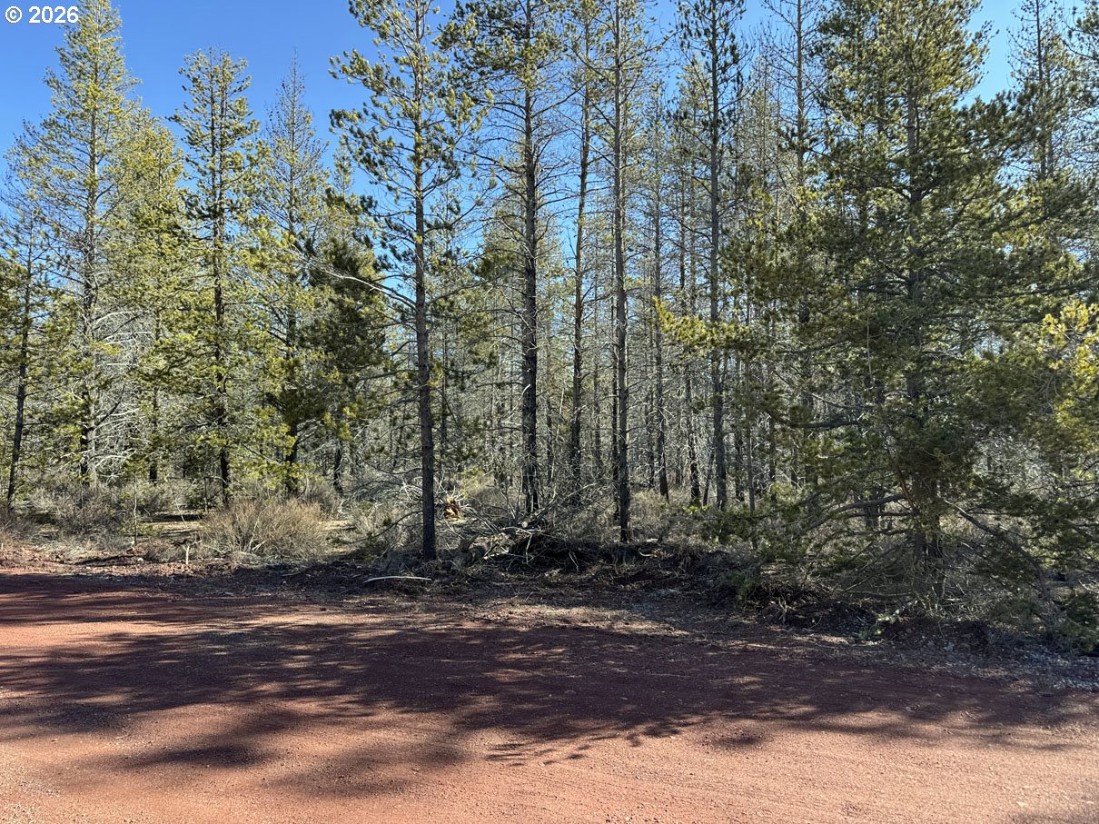 Scott View Drive, Unit 11 Chiloquin, OR 97624 - Photo 12 of 37 a view of a yard with plants and trees
